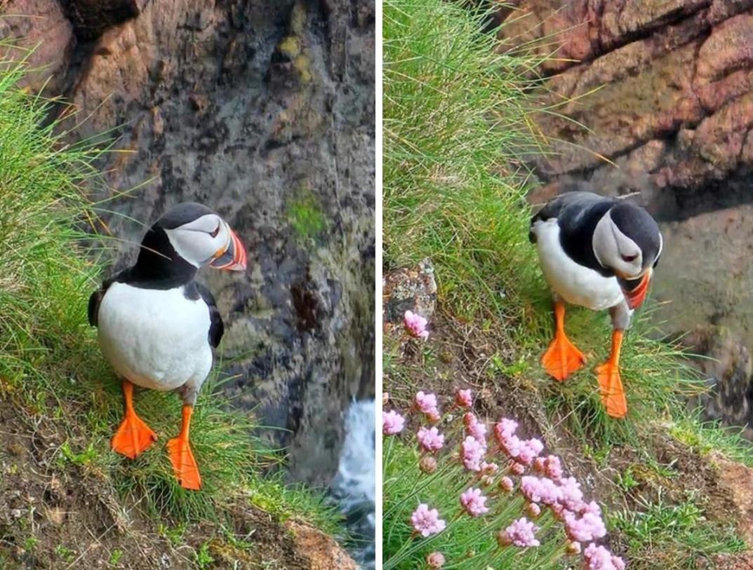Room On The River Cruden Bay Εξωτερικό φωτογραφία